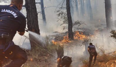 Orman yangınlarında son durum: 3 noktadan iyi haber geldi