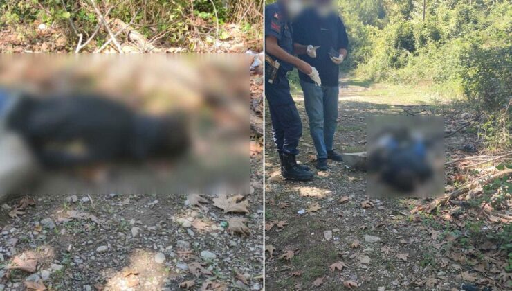 Dereye balık tutmaya inen köylüler, erkek cesedi buldu
