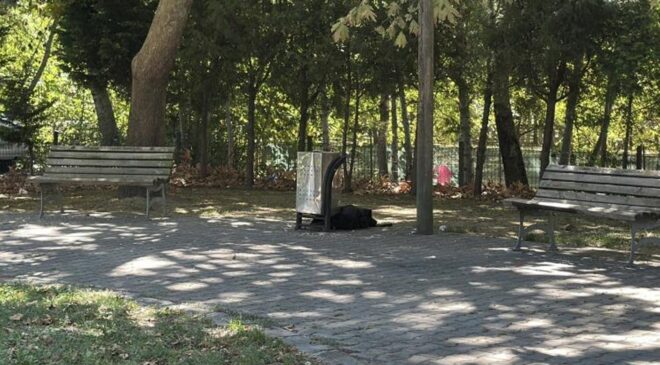 Cami önünde esrarengiz ölüm