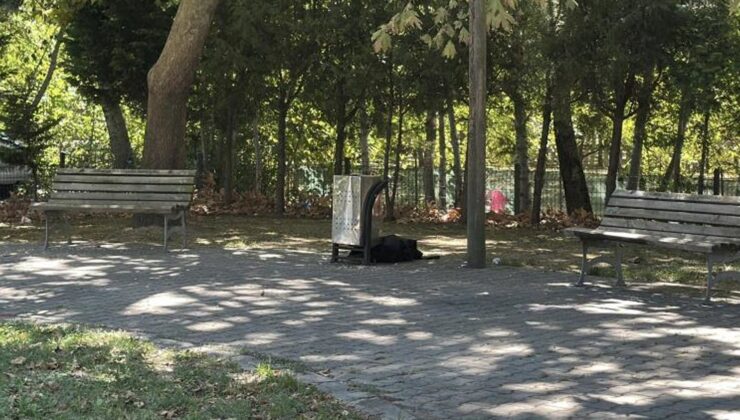 Cami önünde esrarengiz ölüm