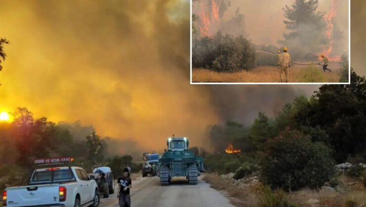 Ciğerlerimizi yakan iki noktadan iyi haber! OGM son durumu açıkladı