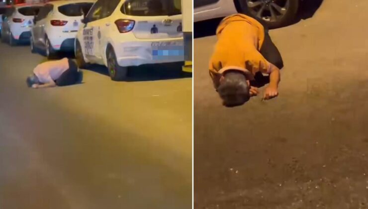 Gece yarısı yolun ortasında gördüler! Arabayı bırakıp yanına koştular