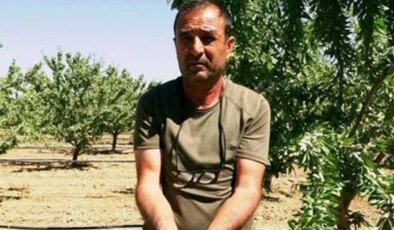 Kayseri’de 16 yıl önce merak edip başladı! Şimdi 20 bin ağacın sahibi