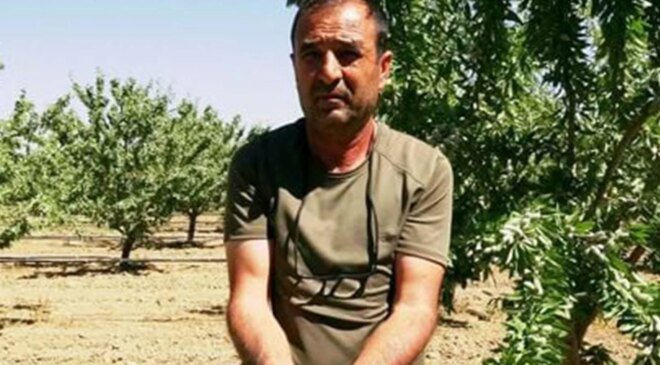 Kayseri’de 16 yıl önce merak edip başladı! Şimdi 20 bin ağacın sahibi