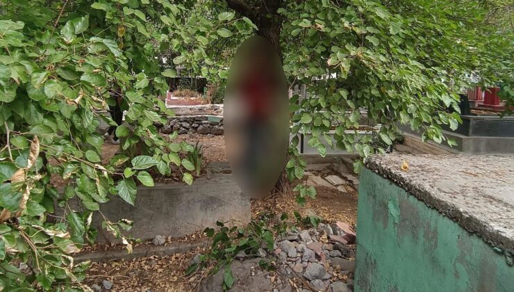 Diyarbakır’da bir kişi, mezarlıkta ağaca asılı halde ölü bulundu