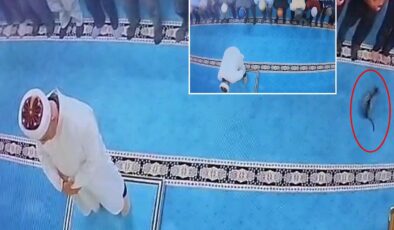 Namazda tekmelediği kedi imamın başına çarptı! Şüpheli gözaltına alındı