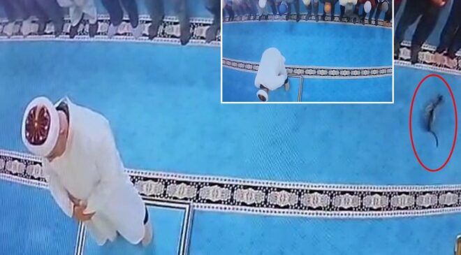 Namazda tekmelediği kedi imamın başına çarptı! Şüpheli gözaltına alındı