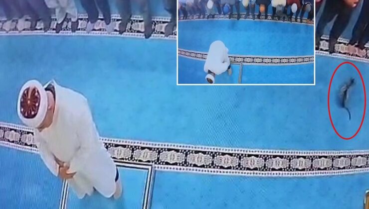 Namazda tekmelediği kedi imamın başına çarptı! Şüpheli gözaltına alındı