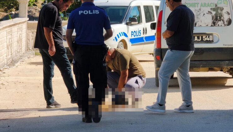 Silah seslerini duyan mahalleli polisi aradı: Polisler karşılarında sokak köpeğini vurulmuş halde buldu