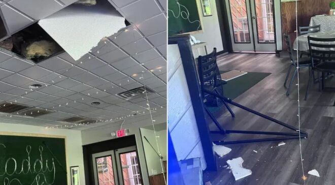 Hırsız sandılar, kamerayı izleyince şoke oldular: Meğer restoranı…