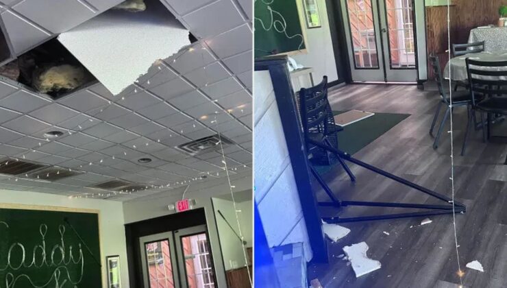 Hırsız sandılar, kamerayı izleyince şoke oldular: Meğer restoranı…