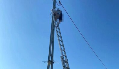 Tamir için direğe çıktı! Elektrik akımına kapılarak hayatını kaybetti