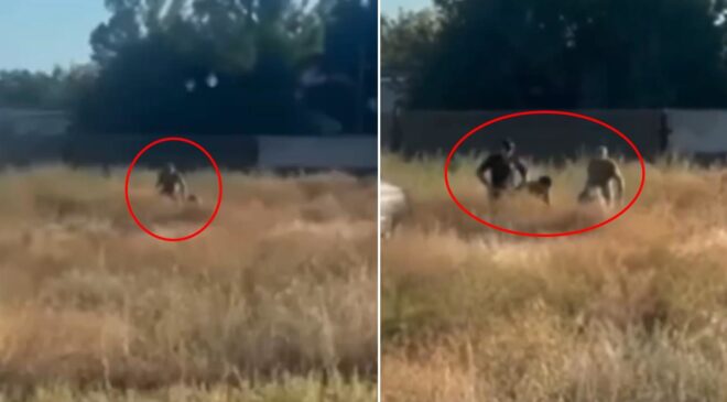 Cepheye asker arayışı bu noktaya geldi! Tarlada yakalayıp götürdüler