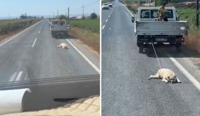 Köpeği kamyonetin arkasına bağlayıp sürükleyerek götürdü