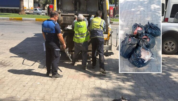 Minibüsü durduran ekipler gözlerine inanamadı! Onlarca kilo birden imha edildi